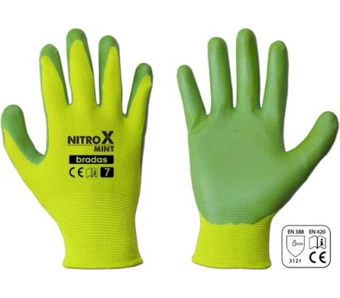 Bradas Nitrox Mint