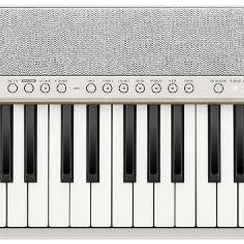 Casio CT S1-76