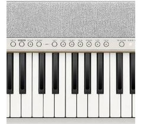 Casio CT S1-76