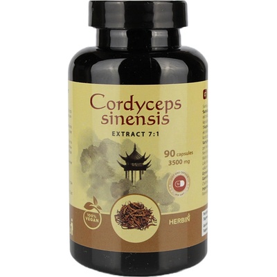 Herbin Cordyceps Sinensis extrakt 7:1- 90 tabliet