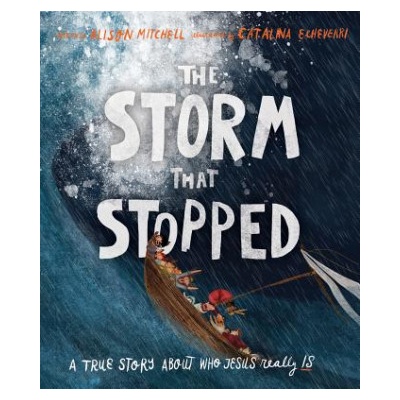 Storm That Stopped Mitchell AlisonPevná vazba