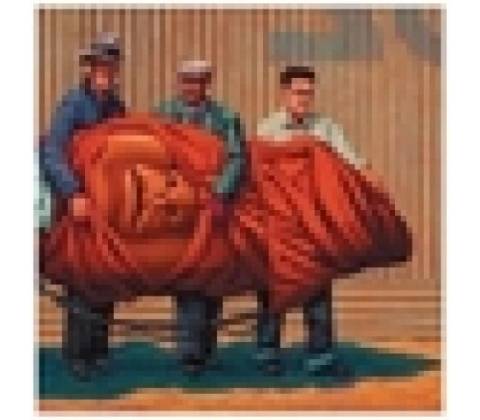 MARS VOLTA: AMPUTECHTURE CD