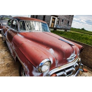 DIMEX ART Флизелинов фототапет ветеран 375 x 250 см