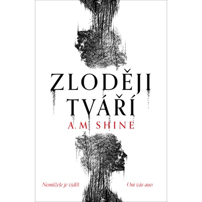Zloději tváří - A. M. Shine