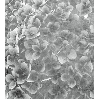 DIMEX MS-3-0356 vliesová fototapeta rozměry 225 x 250 cm