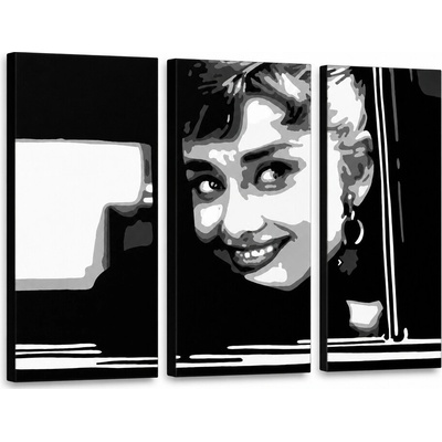 Ručne maľovaný POP Art obraz Audrey HEPBHURN - 90x60 cm