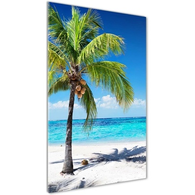 Vertikálny foto obraz sklenený Tropická pláž 50x100 cm