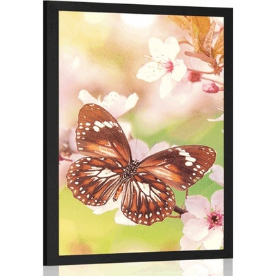 Plakát jarní květiny s exotickými motýly - 60x90 white
