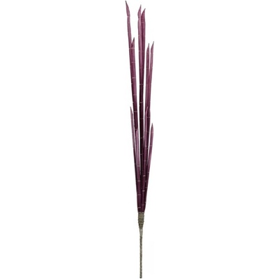 Magické stonky cibule růžové, 134 cm