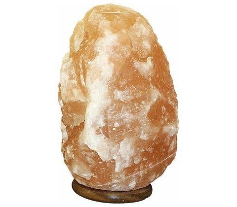 Nefertitis NF50205
