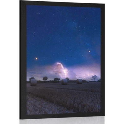 Plakát spousta sena v měsíčním svitu - 60x90 no frame