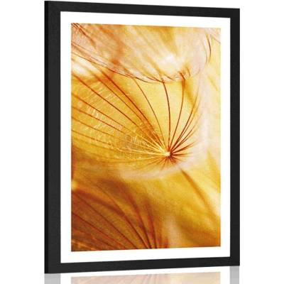 Plakát s paspartou pampeliška v nádherném provedení - 40x60 white