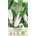 Seklos Органик Манголд Сребристо бял 2 Beta vulgaris L White silver 2