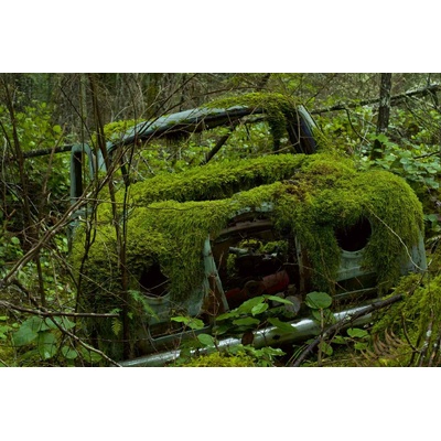 DIMEX ART Флизелинов фототапет автомобил, покрит с мъх 375 x 250 см