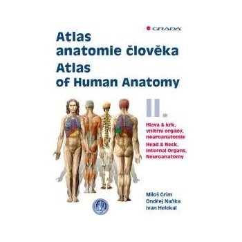 Atlas anatomie člověka II.