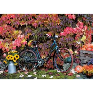 Piatnik - Puzzle The magic of autumn - 1 000 piese