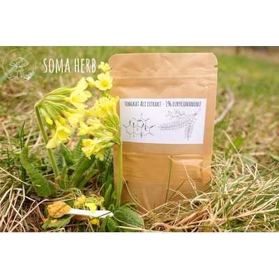 Soma Herb Tongkat Ali extrakt 1% eurycomanonu 50 g – Hledejceny.cz