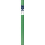 Canson Tissue 50x500 cm Bright Green 21 20 g Цветна хартия (C200992666)
