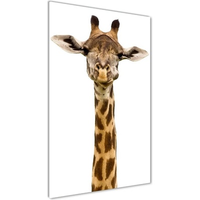 Vertikálny foto obraz fotografie na skle Žirafa 50x100 cm