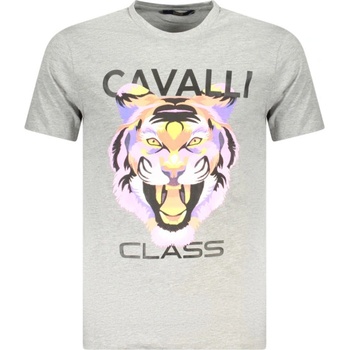 Cavalli class Тениска с къс ръкав за мъже cavalli class, Размер m, Цвят Сив (txt60fjd060_gr05014)