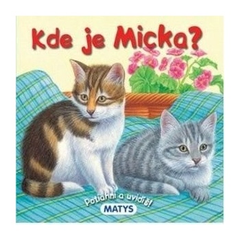 Kde je Micka?