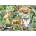 Cobble Hill - Puzzle Family Puzzle: River Magic - 350 piese