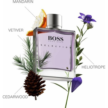 HUGO BOSS BOSS Selection EDT 100 ml