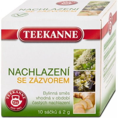 TEEKANNE Čaj na dýchací cesty se zázvorem 20 g