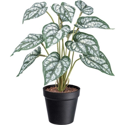 Umělá květina Syngonium v květináči, 38cm