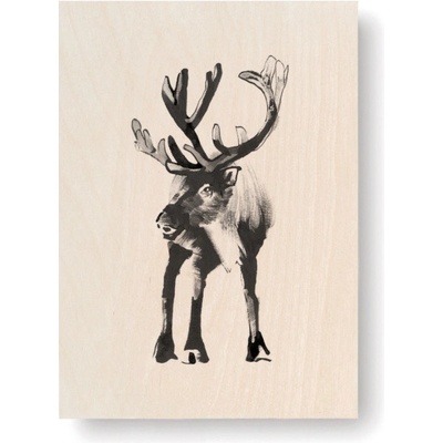 Obrázek na dřevěné kartě Reindeer 10x15 cm Teemu Järvi Illustrations