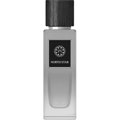 The Woods Collection North Star parfumovaná voda pánska 100 ml