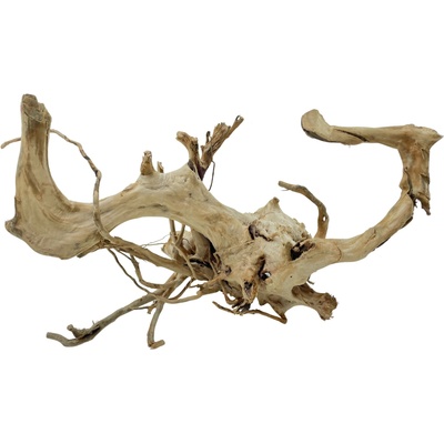 Invital Red moor wood KG 1670 g 3518