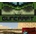 Guncraft Bundle