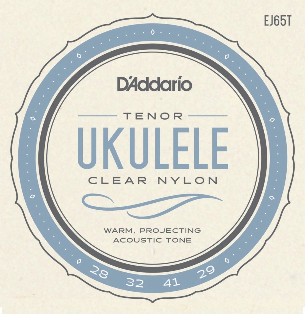 D'addario EJ65T