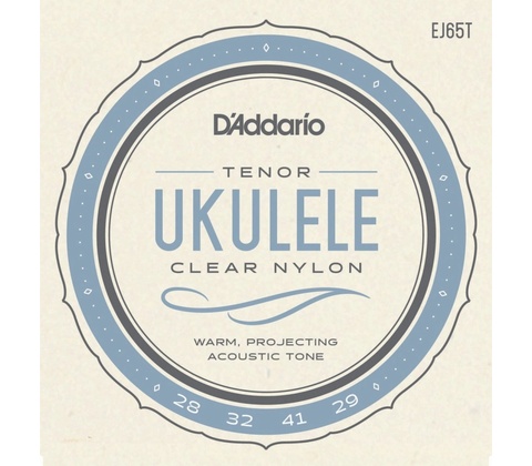 D'addario EJ65T