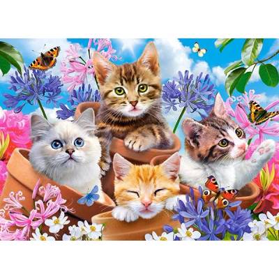 Castorland - Puzzle Kittens with Flowers 70 - 40 - 99 piese