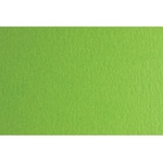 Fabriano Картон Colore, 50 x 70 cm, 200 g/m2, № 230, тревистозелен (42303230/2_VER.PIS)
