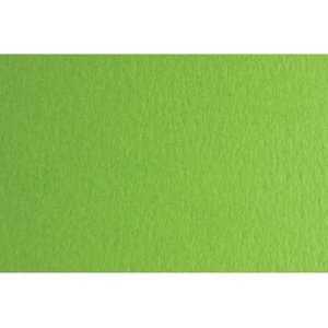 Fabriano Картон Colore, 50 x 70 cm, 200 g/m2, № 230, тревистозелен (42303230/2_VER.PIS)