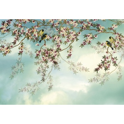 Komar 8-213 Papírové fototapety Sakura rozměr 368 cm x 254 cm