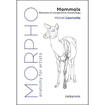 Morpho: Mammals: Elements of Comparative Morphology Lauricella MichelPaperback