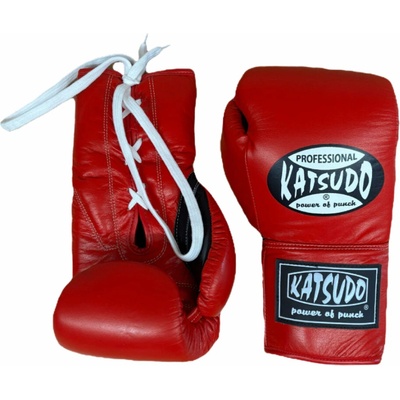 Katsudo Profesional SN