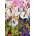 Grafika Art Puzzle - Puzzle Sally Rich: Lillys III - 1 000 piese
