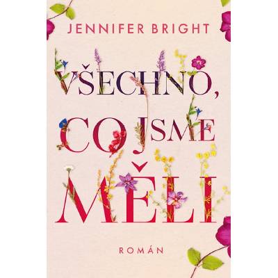 Všechno, co jsme měli - Jennifer Bright