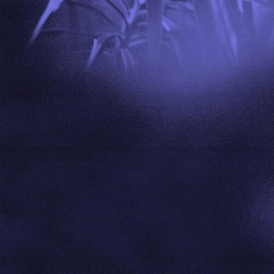 Asra - Nocturnal Journey CD