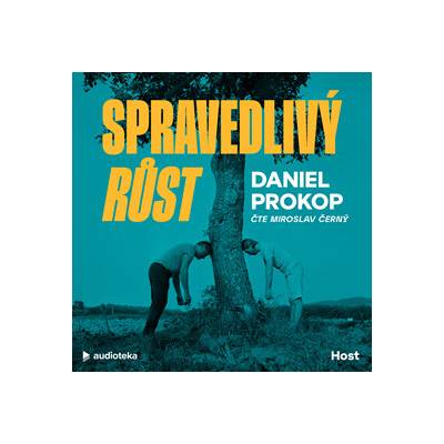 Spravedlivý růst
