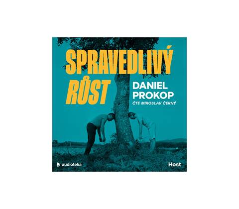 Spravedlivý růst