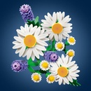 Image 1 of LEGO® Botanicals - Daisies (11508)