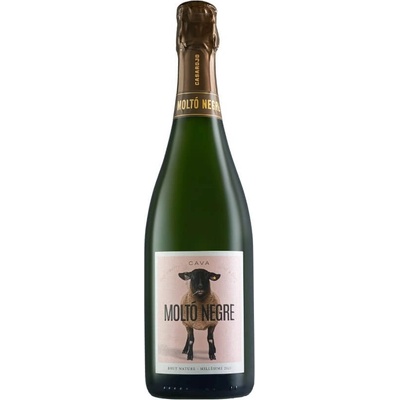Casa Rojo Cava Molto Negre - пенливо вино 750ml