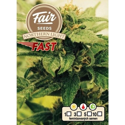 Fair Seeds Northern Light Fast semena neobsahují THC 10 ks