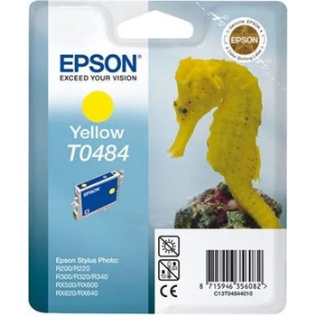 Epson T0484